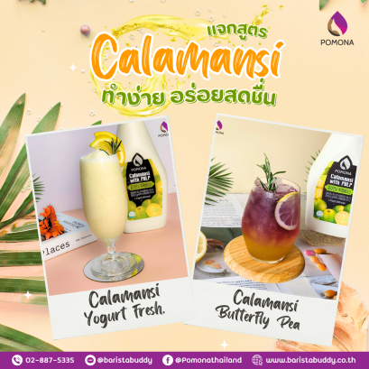 แจก 2 สูตร Calamansi ทำง่าย อร่อยสดชื่น Calamansi  Yogurt fresh. and  Calamansi  Butterfly Pea